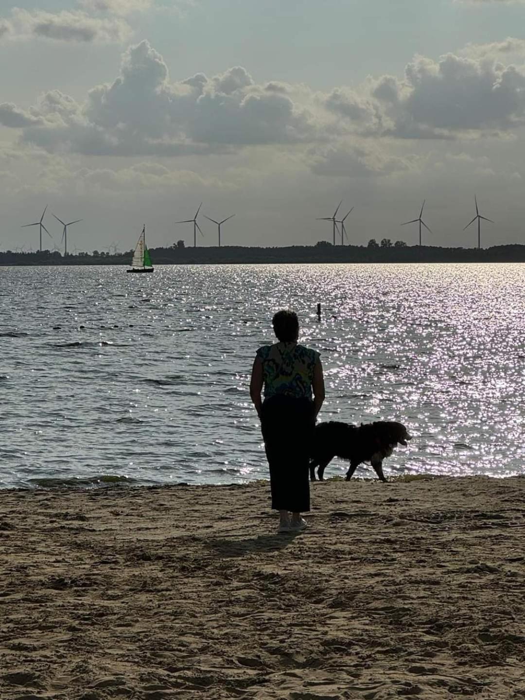 Duemmerliebe Mit Garten, 10 Min. Fusslaeufig Zum See Hüde エクステリア 写真