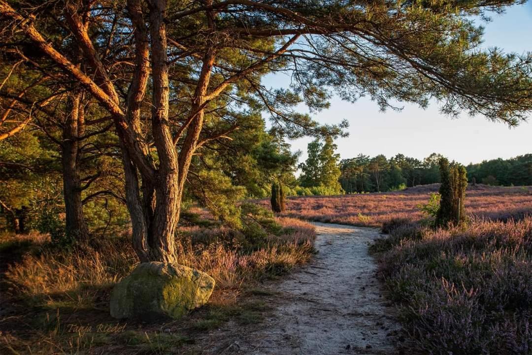 Duemmerliebe Mit Garten, 10 Min. Fusslaeufig Zum See Hüde エクステリア 写真